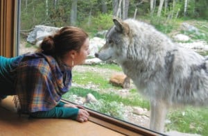 AmberGrizzerNoseToNose_web
