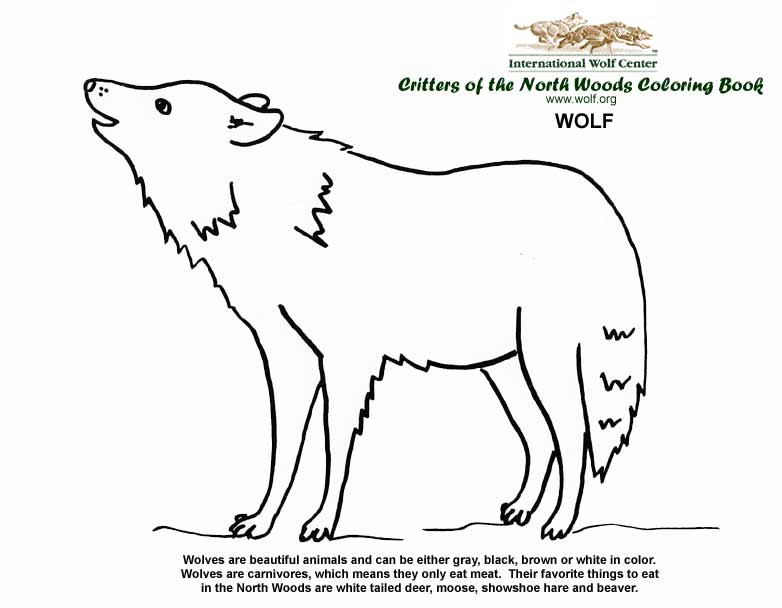 6600 Coloring Book Pages Of Wolves For Free